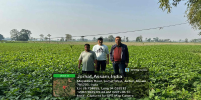 Farmers of Jenganibeel LIS are utilising the irrigation water for growing Rabi crops, the scheme has been renovated through M and R, 2025 -26, implemented through Jorhat Teok Division