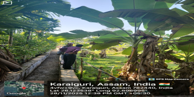 Site visit by Additional Chef Engineer( O&M) along with Executive Engineer, AEE, SO and field staffs for the LIS from River Jamuna at Namati 10 point ( Point no-1&3 ) under M&R works 2025-26, Hojai- Lumding- Binnakandi Division (Irrigation)