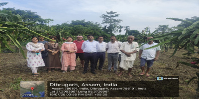 Cultivation of Dragon Fruits and Other Vegetables at PMKSY Phase-I Solar Point, Bhugeswar Rajkhowa under Naharkatia LAC