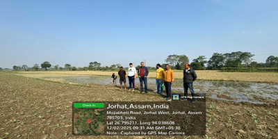Farmers of Jenganibeel LIS are utilising the irrigation water for growing Rabi crops, the scheme has been renovated through M and R, 2025 -26, implemented through Jorhat Teok Division