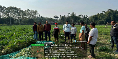 Farmers of Jenganibeel LIS are utilising the irrigation water for growing Rabi crops, the scheme has been renovated through M and R, 2025 -26, implemented through Jorhat Teok Division