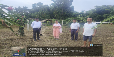 Cultivation of Dragon Fruits and Other Vegetables at PMKSY Phase-I Solar Point, Bhugeswar Rajkhowa under Naharkatia LAC