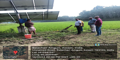 Point No.5 at  Balachari Amguri Village