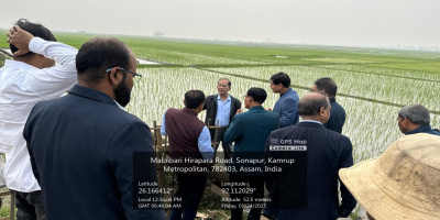 A NEDFI team, led by Prof. Dr. Nayan Sarma, along with Er. F. M. Siddique, Chief Engineer (Irrigation), Assam and Er. Gopal Chetri, Deputy Secretary (Works) to the govt. of Assam, Irrigation visited the Maloibari Irrigation Scheme. During the visit, they engaged with farmers to discuss deficit irrigated cultivation and no-tillage farming practices.